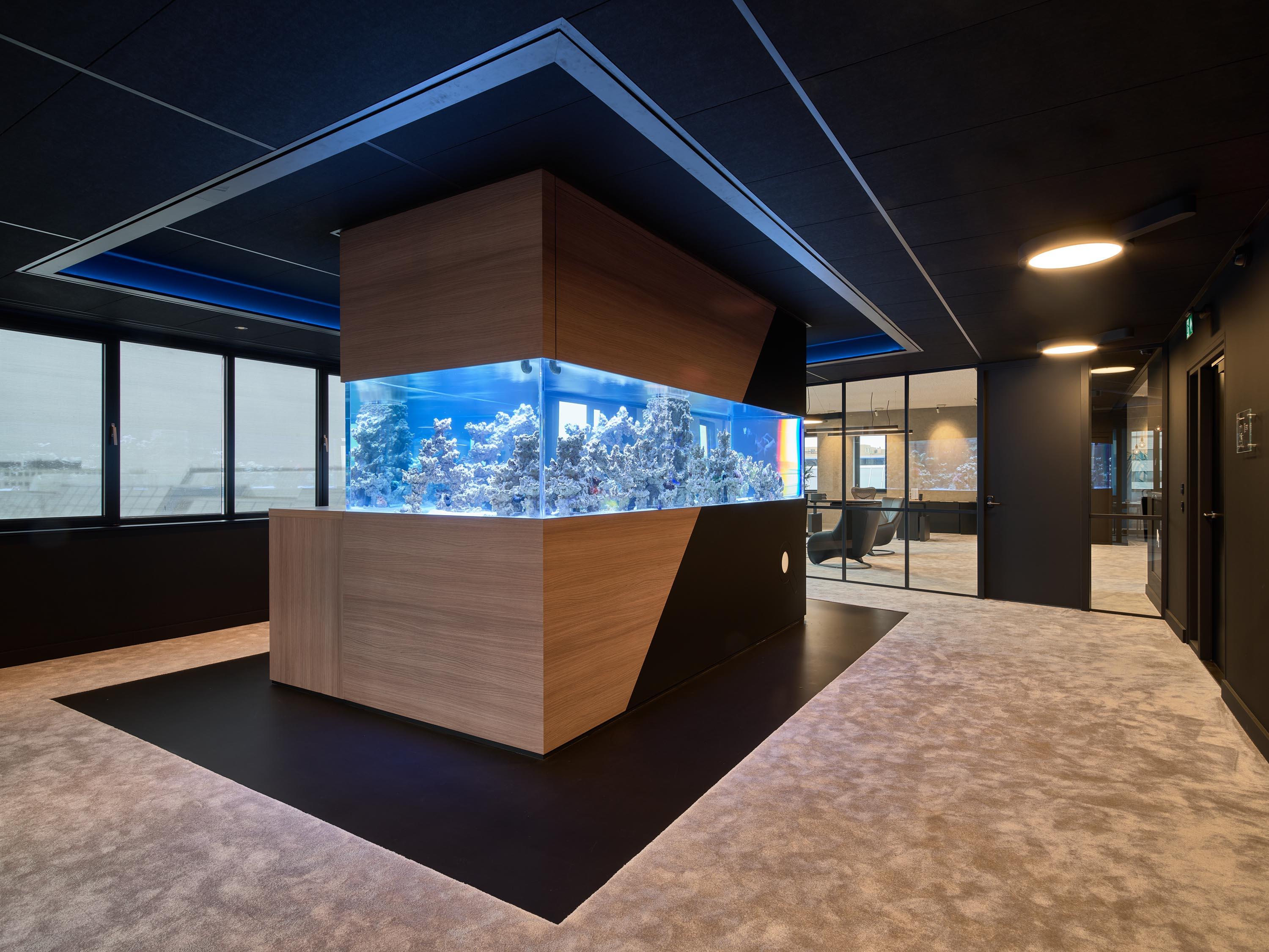 20190208_TodaysBrew_Acosorb_iClicks12604.jpg