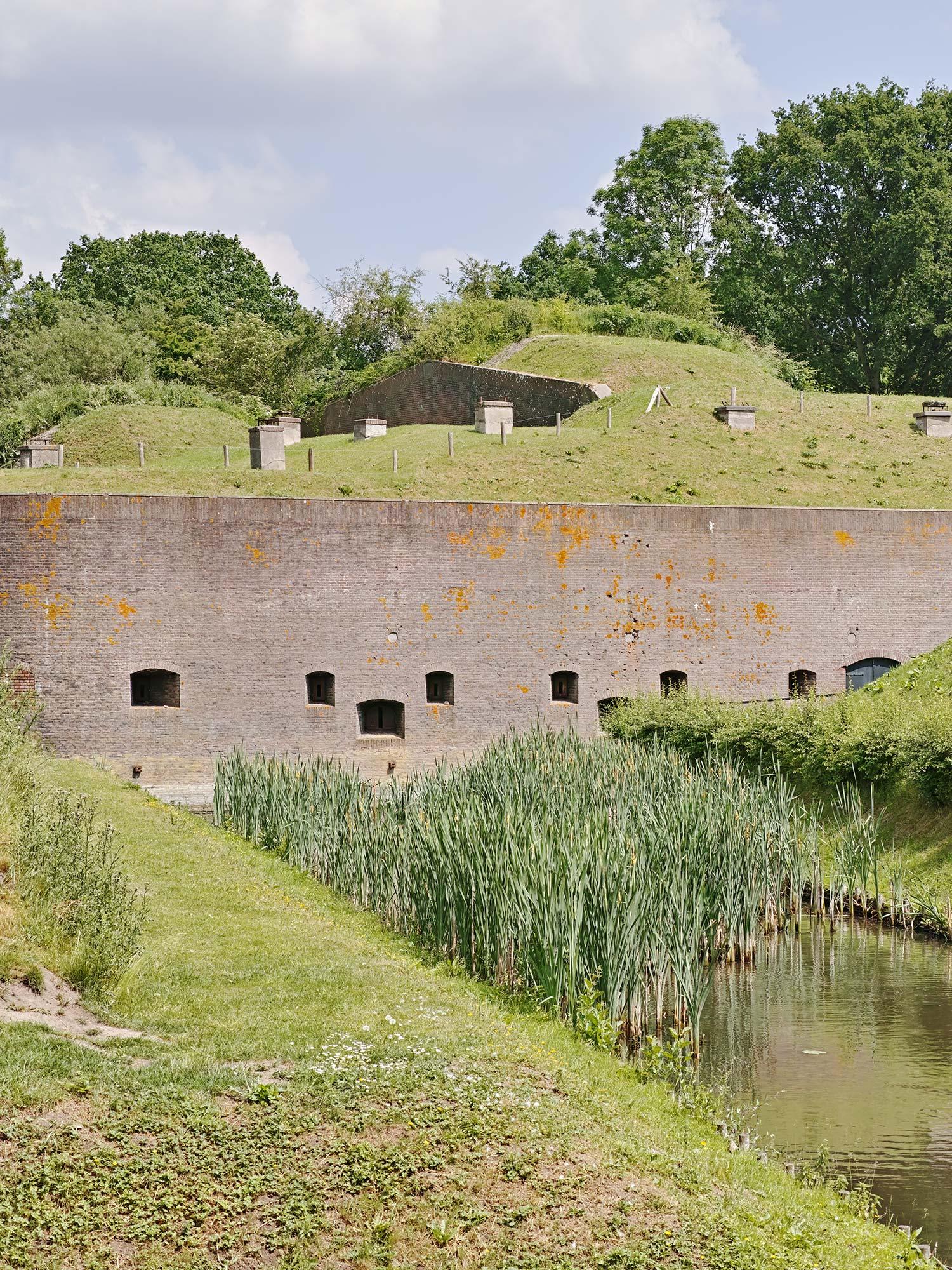 SDIM1824.jpg